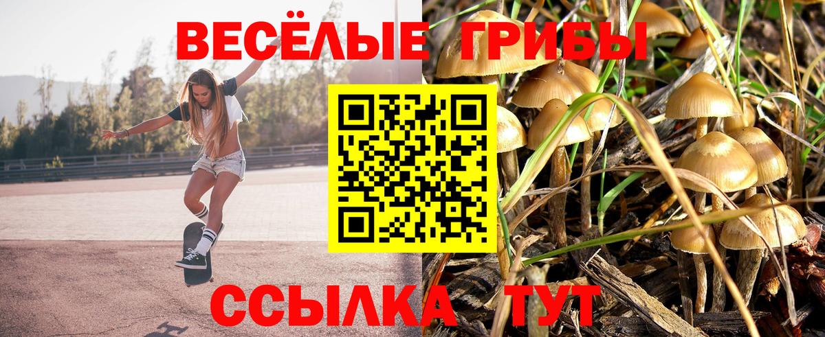 Псилоцибиновые грибы прущие грибы Назарово