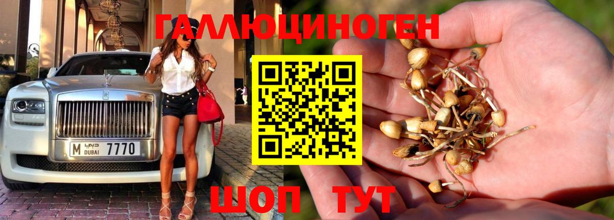 Назарово  Псилоцибиновые грибы GOLDEN TEACHER  Вход с VPN 